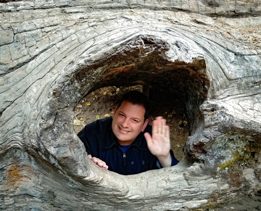 bigtrees-david
