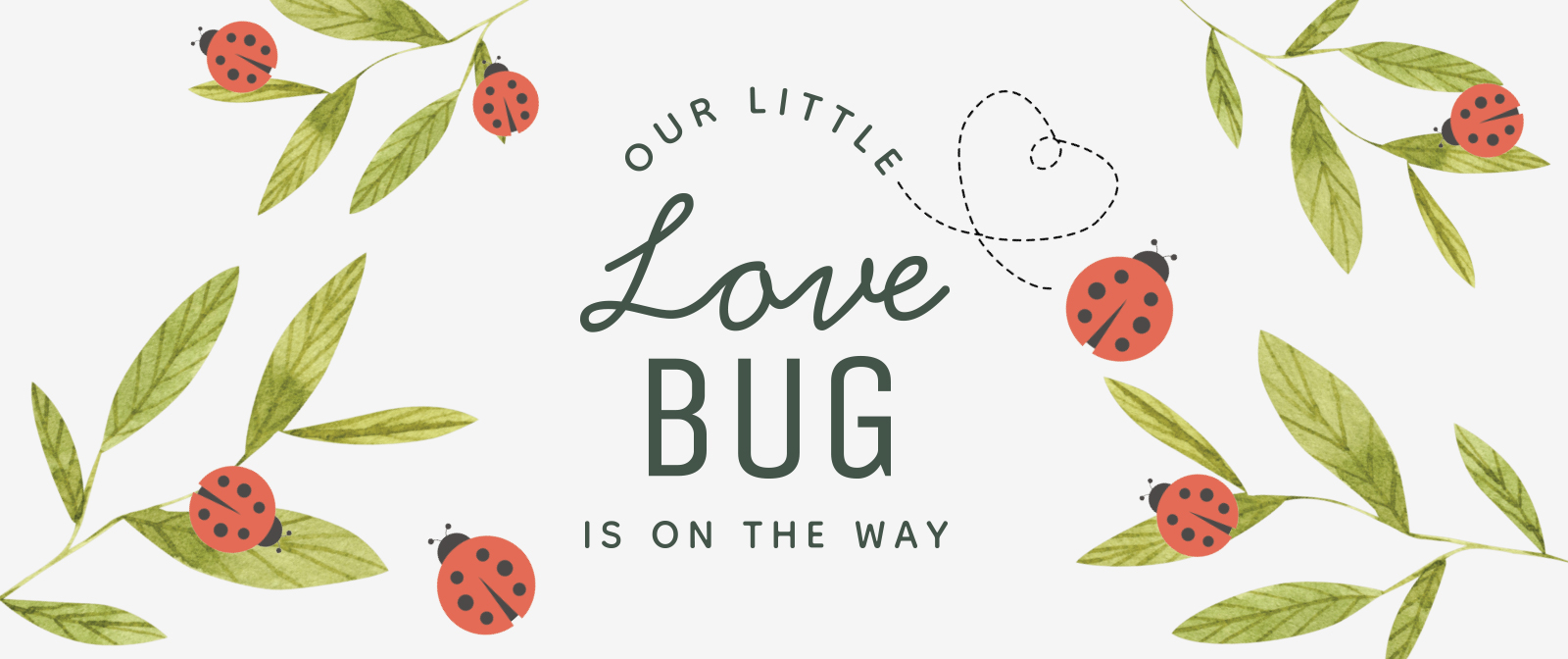 Our Little Love Bug is On The Way